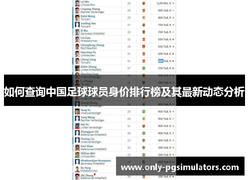 如何查询中国足球球员身价排行榜及其最新动态分析