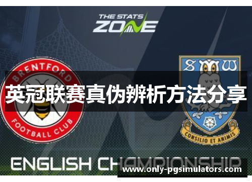 英冠联赛真伪辨析方法分享
