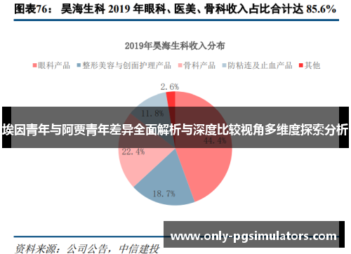 埃因青年与阿贾青年差异全面解析与深度比较视角多维度探索分析 埃因青年与阿贾青年差异全面解析与深度比较视角多维度探索分析