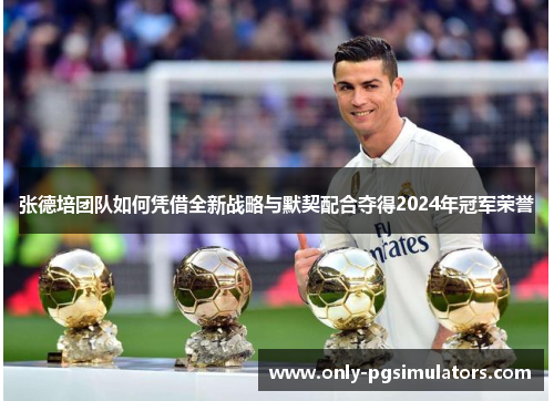 张德培团队如何凭借全新战略与默契配合夺得2024年冠军荣誉