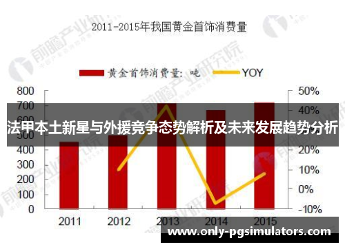 法甲本土新星与外援竞争态势解析及未来发展趋势分析