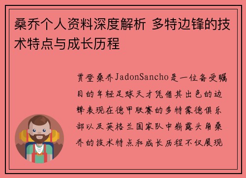 桑乔个人资料深度解析 多特边锋的技术特点与成长历程